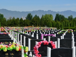 中华永久陵园墓区